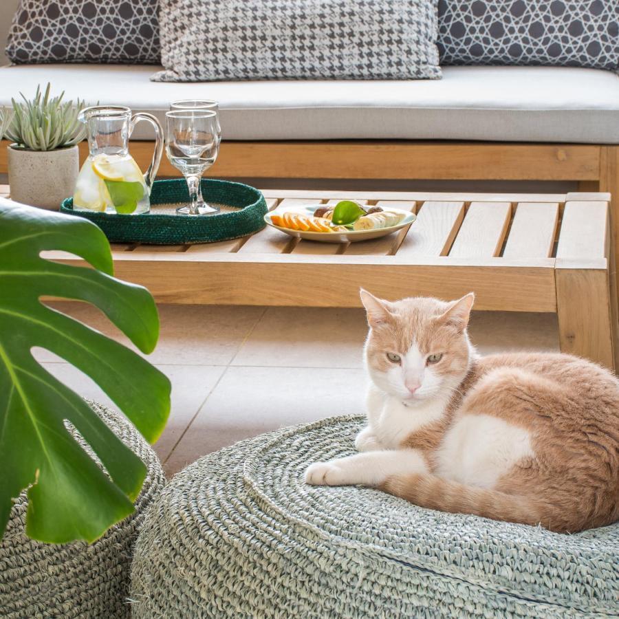 Tree Olive Athens Apartment Екстериор снимка